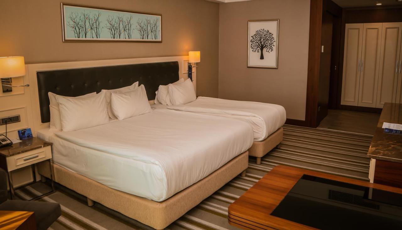 Hotel Radisson Blu Hotel,