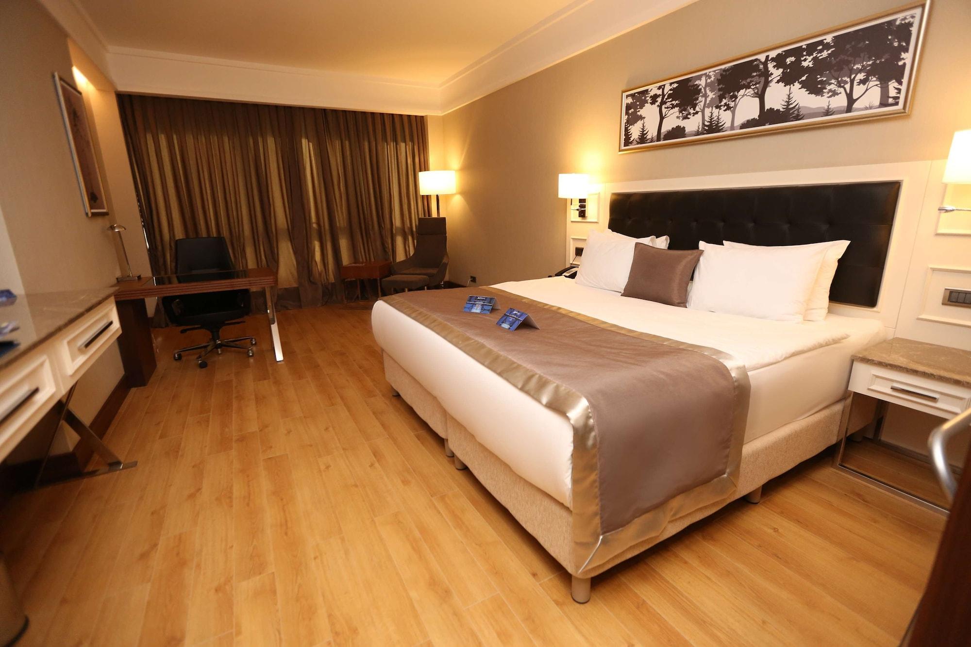 Radisson Blu Hotel, Hotel